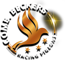 Comb. Beckers Racing Pigeons Logo